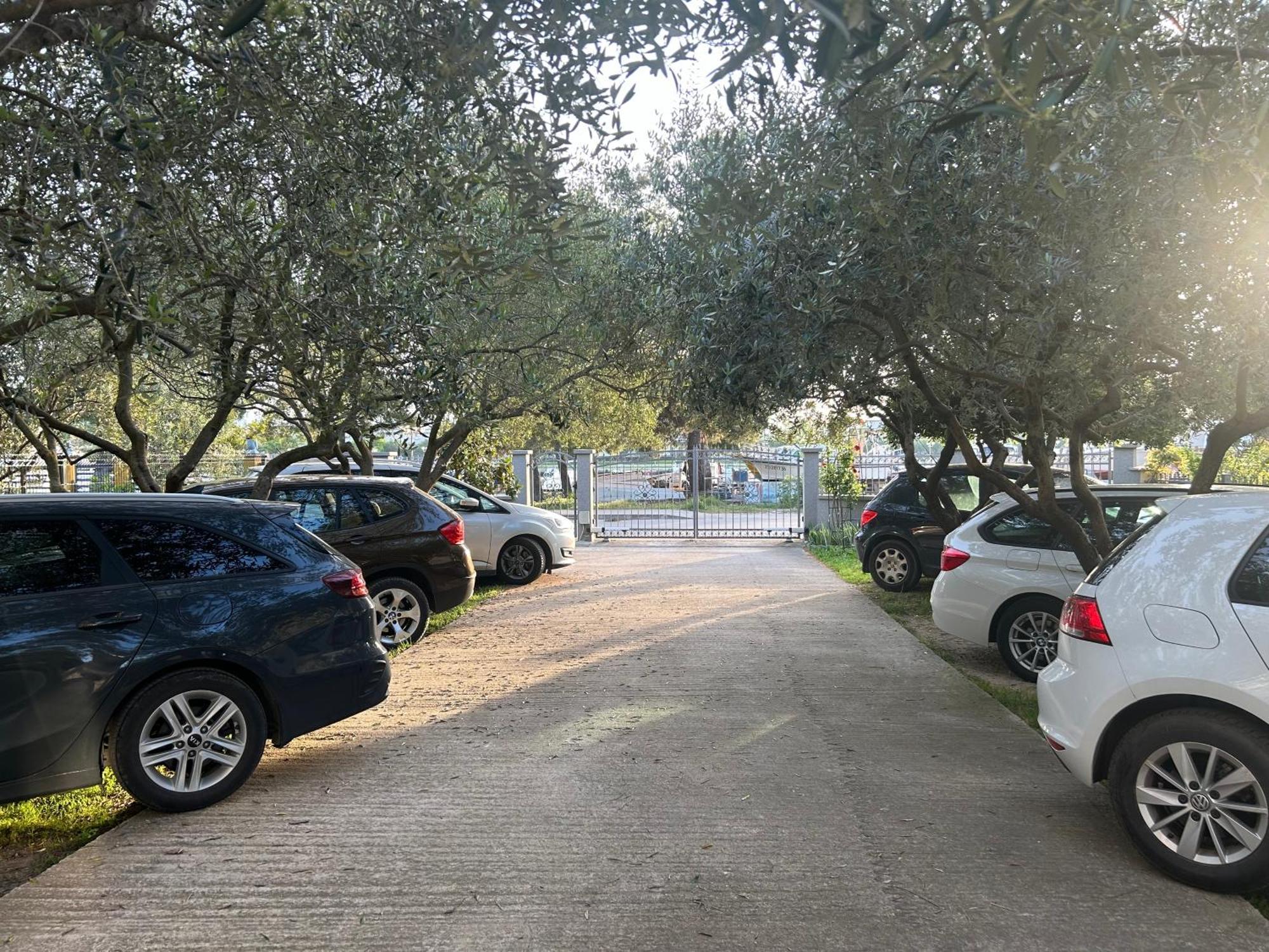 Apartment Dario Ζαντάρ Εξωτερικό φωτογραφία